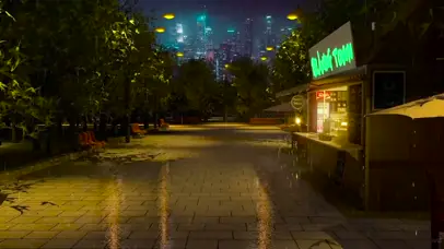 夜晚雨中城市公园