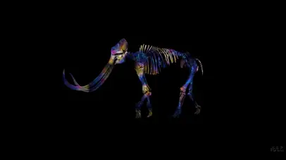 【视觉系】行走的彩虹猛犸象骨骼