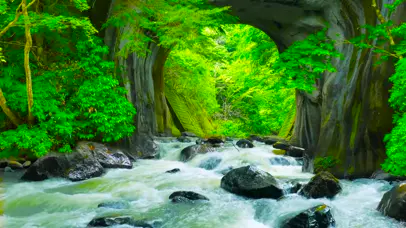 4K唯美山间桥洞流水