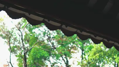 治愈型屋檐雨