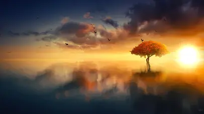 夕阳下的黄昏美景