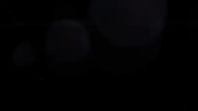 阿米娅（大地寂寂）