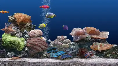 放松水族馆