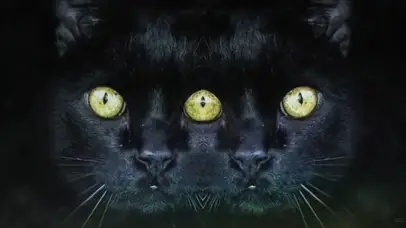 幻影黑猫