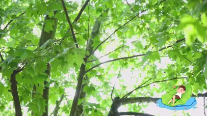 清爽夏日