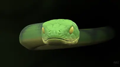 一条蛇3D