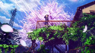 东京看樱花的女孩