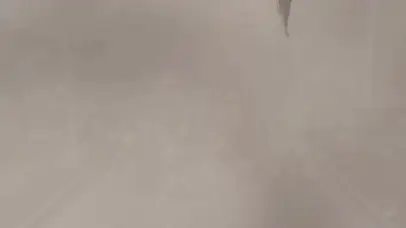 僵尸冲锋~（高能酷炫版）