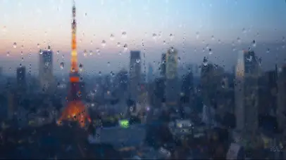 城市雨屏