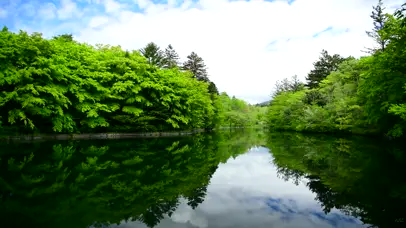 绿林山涧潭水湖泊