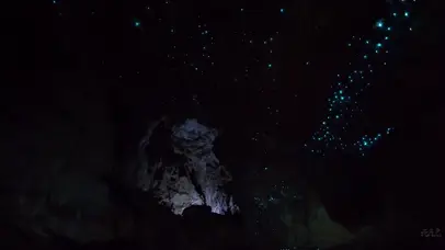 神奇的萤火虫洞