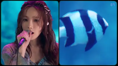 泰妍海洋馆演唱