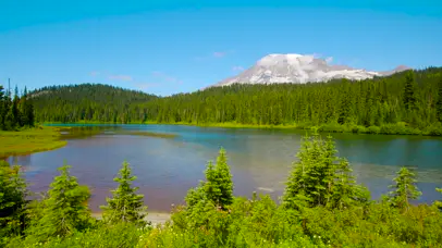 绿林山中湖水