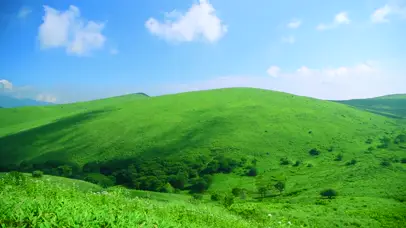 绿色草原护眼屏保