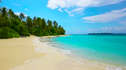 沙滩椰树海岸