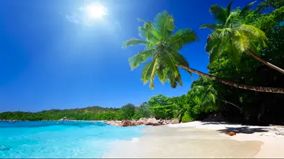 阳光椰树海滩