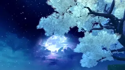 月华