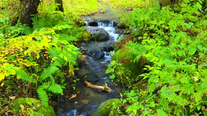 4k流水潺潺