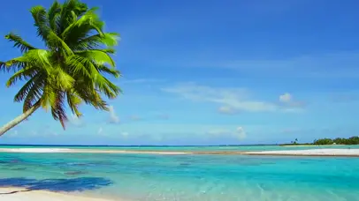 夏威夷椰树海滩