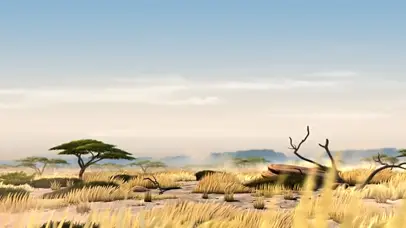 猎豹追逐~（超胖Q弹版）