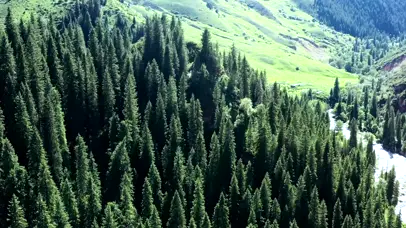 4K新疆奇台草原自然美景大山