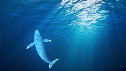 深海游鲸