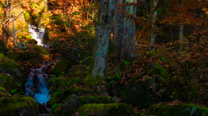 4K山涧泉水流淌