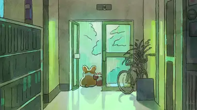 雨天门口柯基狗狗