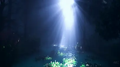 傍晚唯美仙境森林之河2