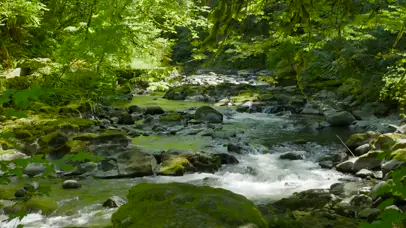 绿林山涧河流