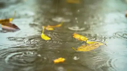 唯美下雨天雨滴滴落水面水花