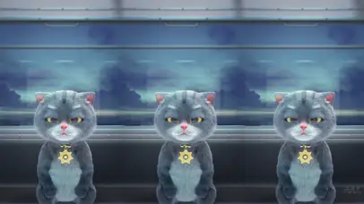 班布猫-遇见日出