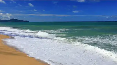 大海