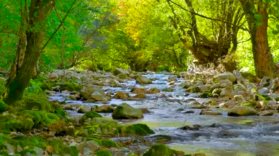 绿林山间河流
