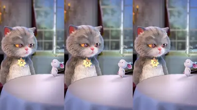 斑布猫-温暖陪伴