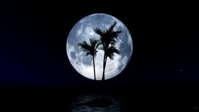 寂静夜晚