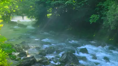 森林川雾河流