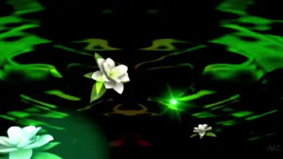 茉莉花舞台LED