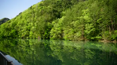 绿林山涧湖泊