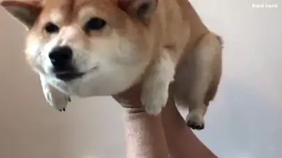 怕洗澡澡~（爆笑诙谐版）