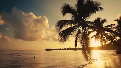 椰树海滩夕阳