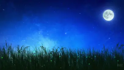 夜、萤火虫和星空