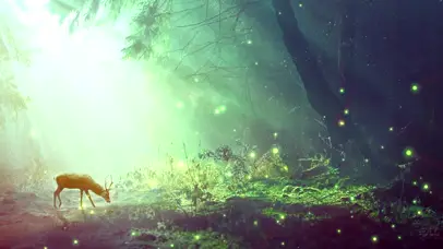 梦幻森林蝴蝶飞舞绿色