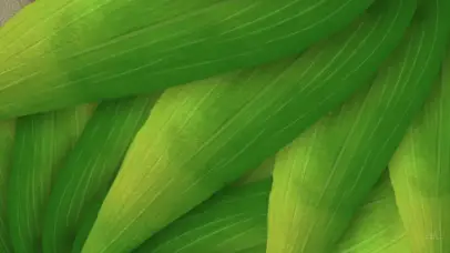 端午中国风国潮