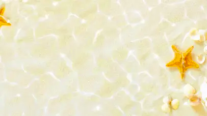 水下海星
