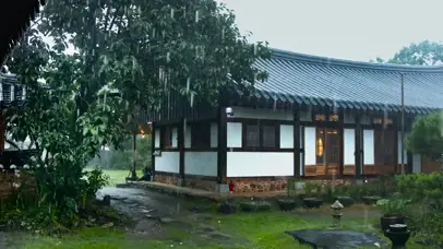雨中庭院