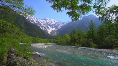 nature山間の森林