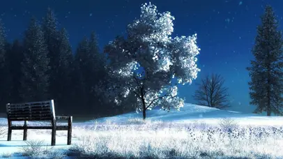 雪景