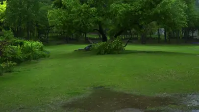 春雨植物园