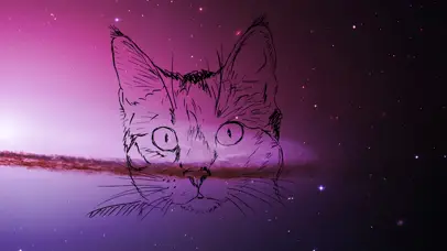 星空猫咪